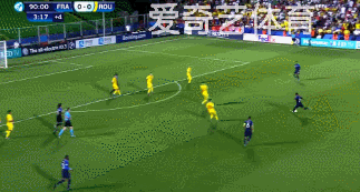 贡多齐3.gif